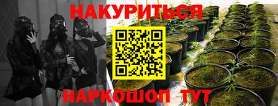 spice Нарткала